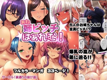 Ane Bitch Harem! cover