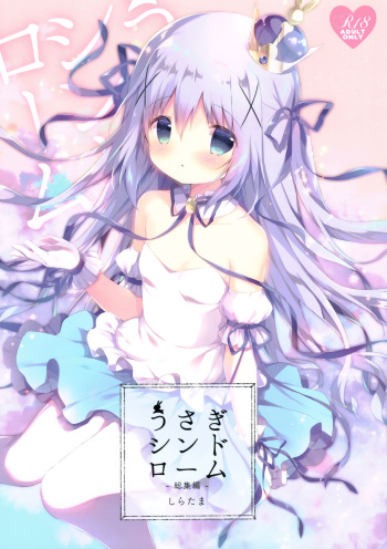 Usagi Syndrome Soushuuhen cover