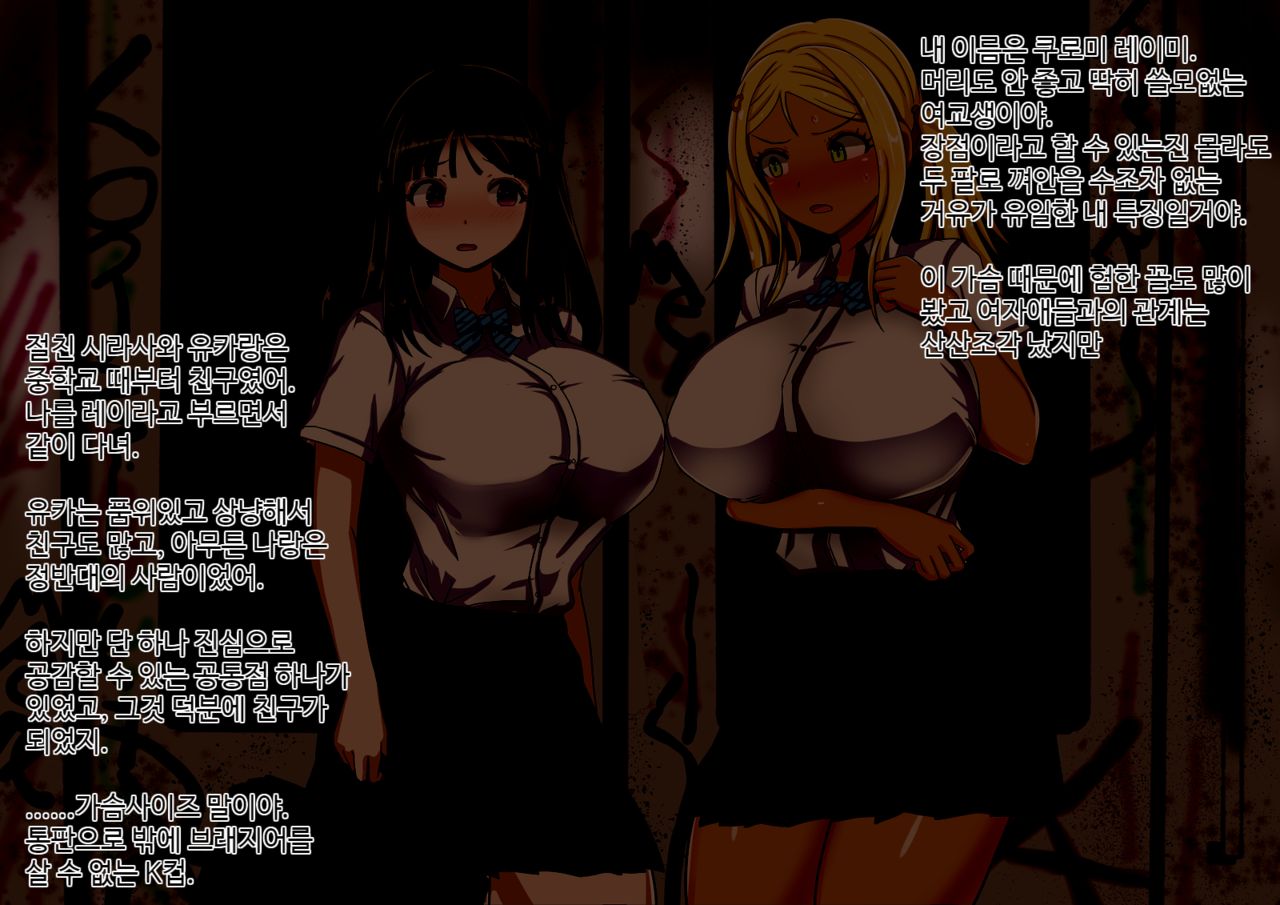 Fuhou Imin Senyou Sharyou to Bakunyuu Joshikousei | 불법이민 전용 차량 폭유 여X생 page 2 full