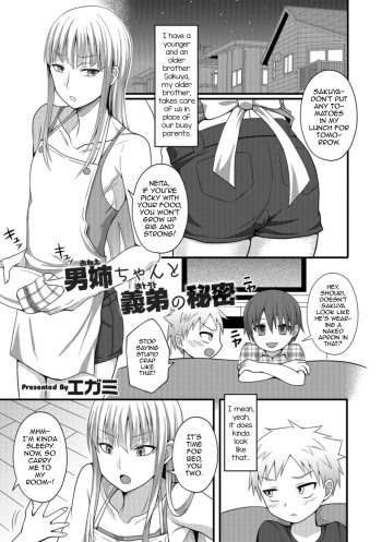 Onee-chan to Otouto no Himitsu cover