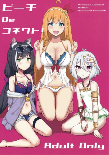 Beach de Connect! cover