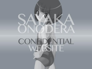 Flatcheez 2 - Tsuika Contents "Himitsu no Tokusetsu Site" cover