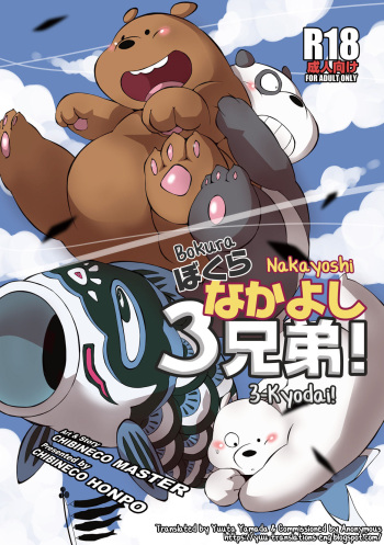 Bokura Nakayoshi 3-Kyodai! cover