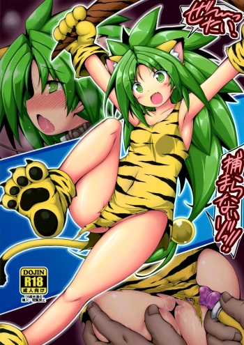 Zettai, Tsukamaranaizo!! cover
