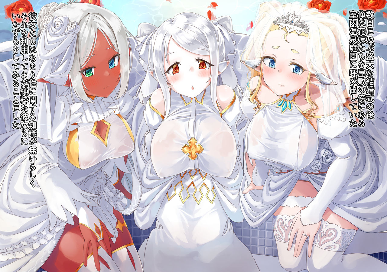 Yokujou ni Nureru Elf no Himegimi page 3 full