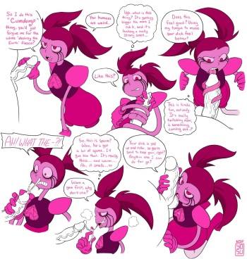 Spinel's Apology cover